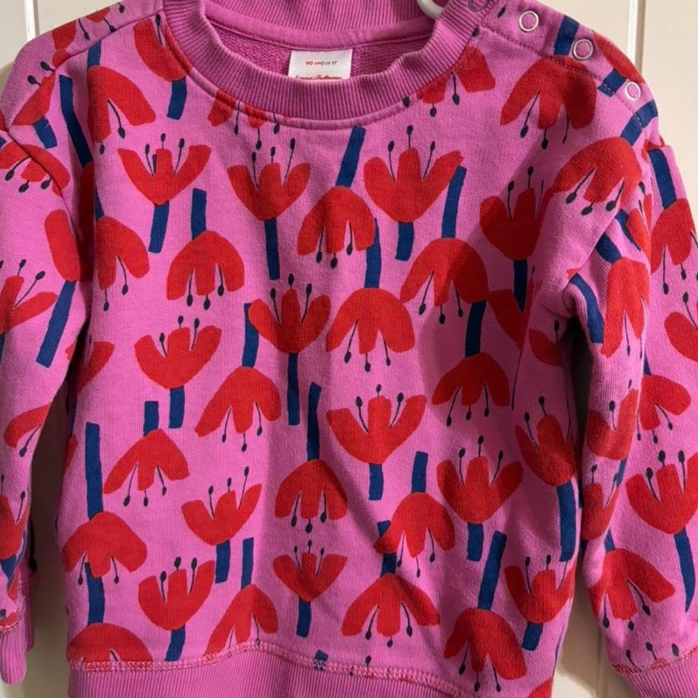 Hanna Anderson Pink Floral Kids Sweatshirt